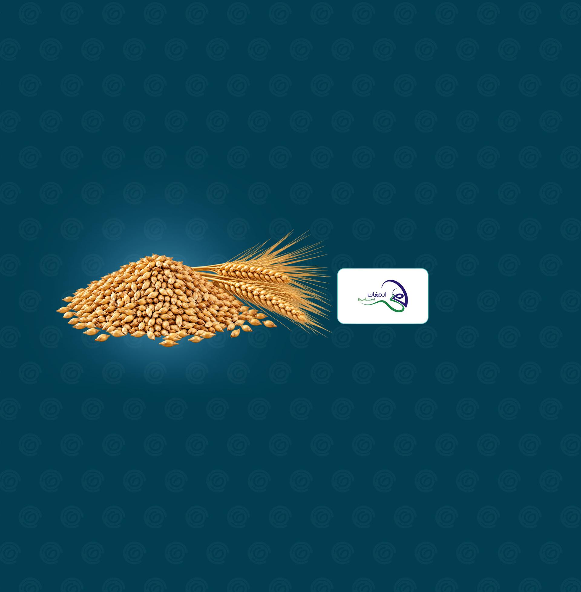  بازرگانی و توزیع جو دامی
