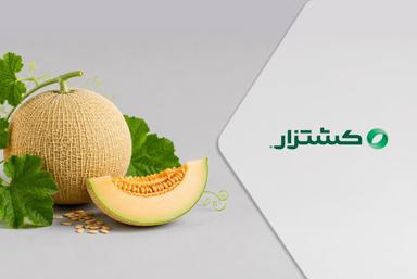 تامین سرمایه در گردش جهت واردات و توزیع بذر طالبی