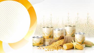 طرح تامین سرمایه در گردش واردات ذرت دامی