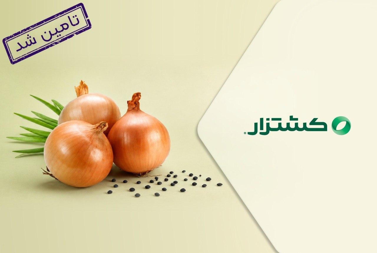 تامین سرمایه در گردش جهت واردات و توزیع بذر پیاز هیبرید بونو