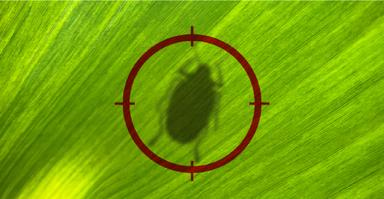 تأمین مالی جمعی تأمین سرمایه در گردش تولید سم آفات کشاورزی