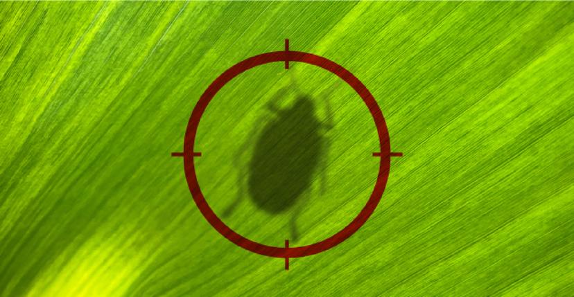 The fund raise banner