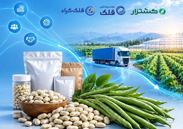 تامین سرمایه در گردش جهت تامین و توزیع بذر سبزیجات