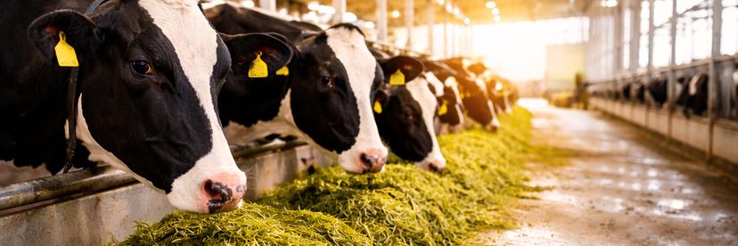 The fund raise banner