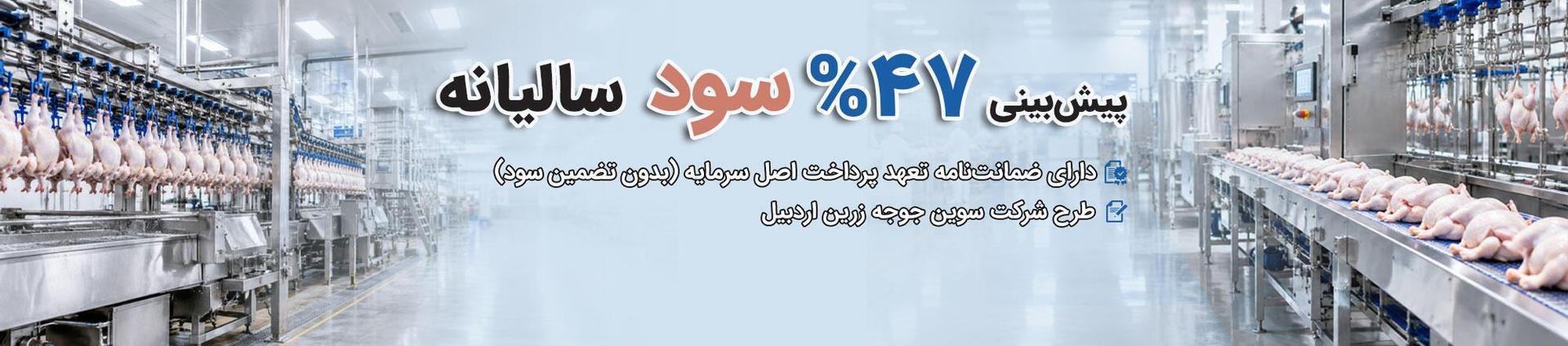تولید مرغ زنده گوشتی
