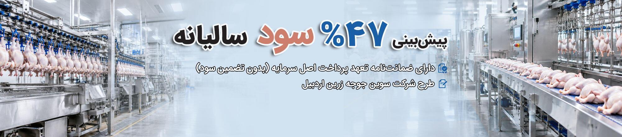 تولید مرغ زنده گوشتی