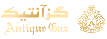 لوگوی شرکت آنی تک اصفهان