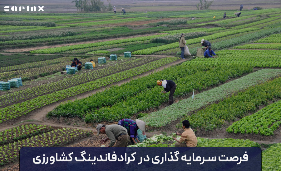 فرصت سرمایه گذاری در کرادفاندینگ صنعت کشاورزی