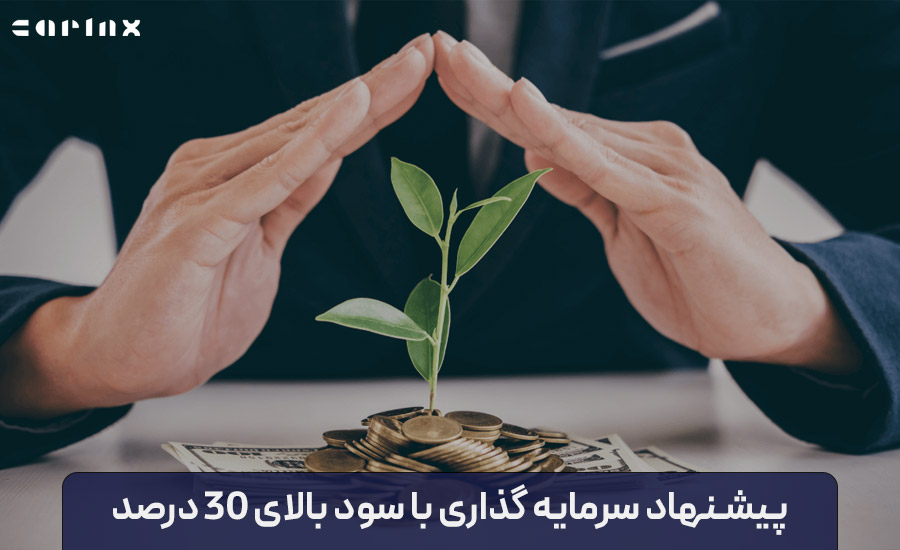 پیشنهاد سرمایه گذاری با سود بالای 30 درصد