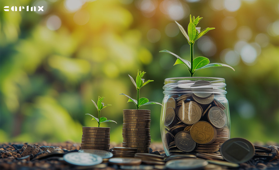 ذهنیت رشد مالی چیست؟