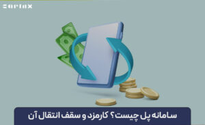 سامانه پل چیست؟