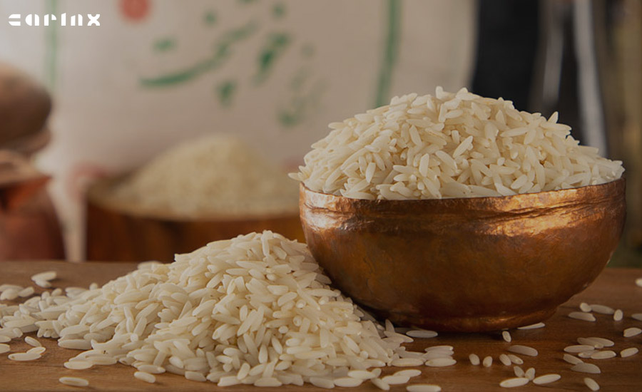 معرفی شرکت کشت و صنعت برنج کوروش