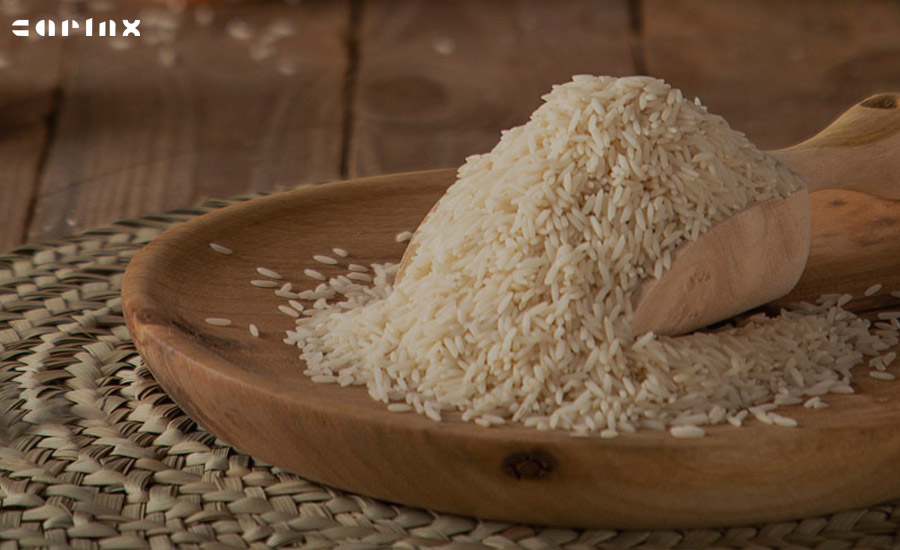 کشت و صنعت برنج کوروش