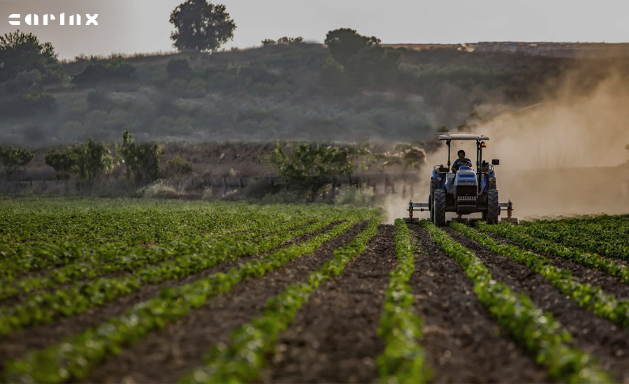 سرمایه گذاری حرفه ای در کشاورزی