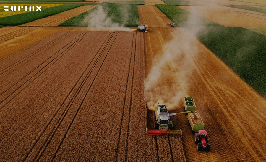 سرمایه گذاری حرفه ای در کشاورزی