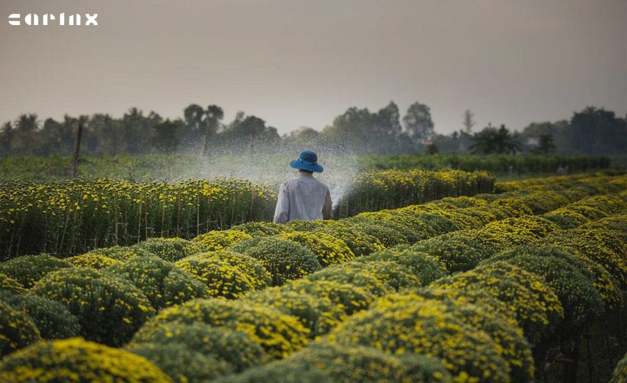 سرمایه گذاری حرفه ای در کشاورزی
