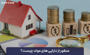 منظور از دارایی های مولد چیست؟