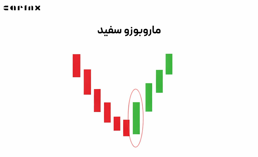 کندل ماروبوزو سفید