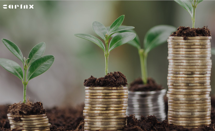 سرمایه گذاری خطرپذیر چگونه کار می کند؟